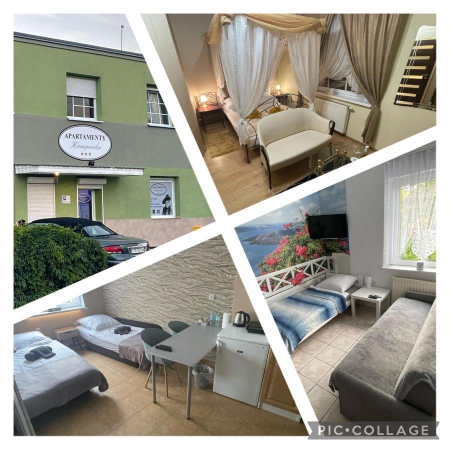 بيدغوستيا Apartamenty Konopnicka المظهر الخارجي الصورة